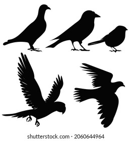 set of birds black silhouette vector, isolated