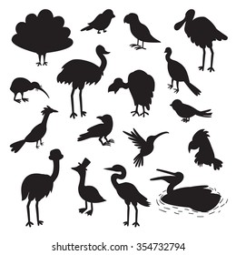 Set of birds black silhouettes. Vector illustration, isolated on a white background 