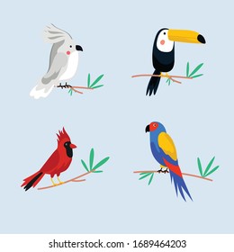 Set of birds. Bright exotic tropical birds.