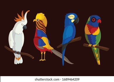 Set of birds. Bright exotic tropical birds.