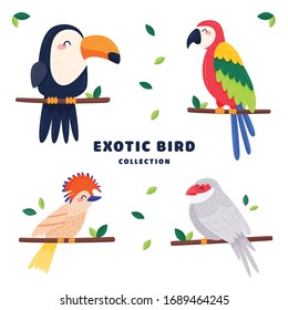 Set of birds. Bright exotic tropical birds.