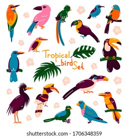 Set of birds. Bright exotic tropical birds. Macaw, Cockatoo, flamingo toucan Vector