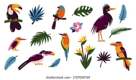 Set Of Birds. Bright Exotic Tropical Birds. Macaw, Cockatoo, Flamingo, Toucan. Vector.