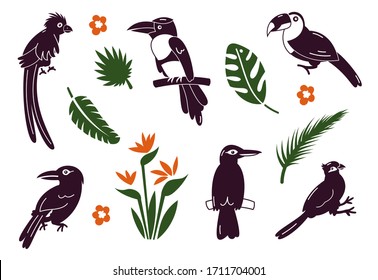 Set of birds. Bright exotic tropical birds. Macaw, Cockatoo, flamingo, toucan. Vector.