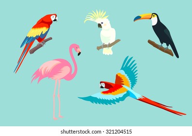 Set of birds. Bright exotic tropical birds. Macaw, Cockatoo, flamingo, toucan.
Vector.