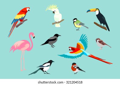 Set of birds. Bright exotic tropical birds. Macaw, Cockatoo, flamingo, toucan, magpie, crow, bullfinch, tit, sparrow.
Vector.