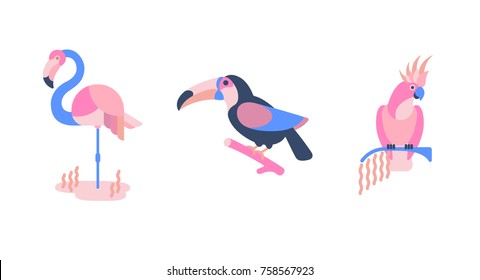 Set of birds. Bright exotic tropical birds.  Cockatoo, flamingo, toucan. Vector.