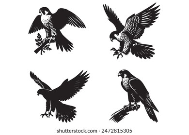 Set Of Birds Bundle File 