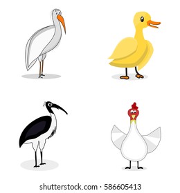 Set of birds character vector. Stork and ibis, duck and chicken illustration