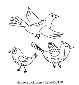 Set of birds. Coloring page. Black and white bird. Color me. Isolated vector illustration eps