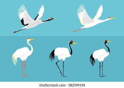 Set of birds. Crane, stork, heron. Vector.