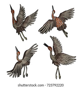 set of birds of the cranes. Traditional folk stylish stylish embroidery on the black background. Sketch for printing on clothing, fabric, bag, accessories and design. Vector, trend