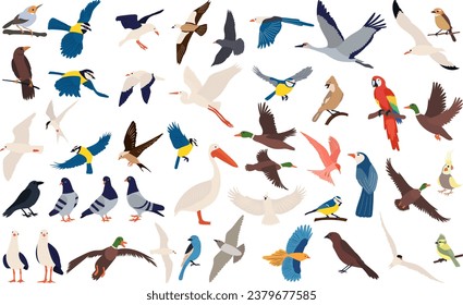 conjunto de aves de diferentes razas, aves voladoras, colección vectorial aislado