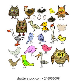 Set Birds drawn pen. Vector