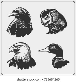Set of birds. Duck, eagle, raven and owl.