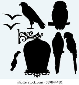 Set Birds: eagle, owl, parrots and seagulls. Isolated on blue background. Vector silhouettes
