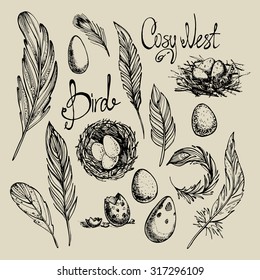 Set from the bird's feathers, nests and eggs drawn by hand and inscriptions "a cozy nest" and "bird". Graphics.Vector illustration.