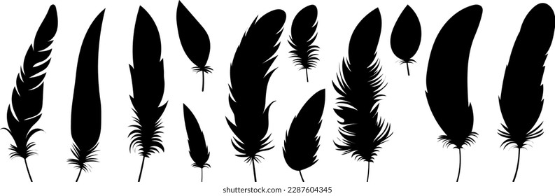 set of birds feathers silhouette on white background, vector