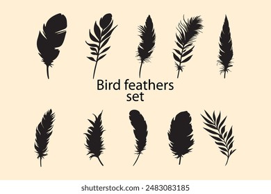a set of bird's feather's vector art illustration.