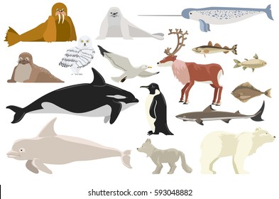 123 Cold area with gull Images, Stock Photos & Vectors | Shutterstock