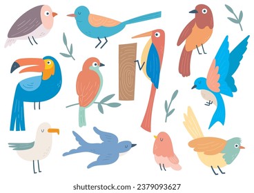set of birds in flat style illustration