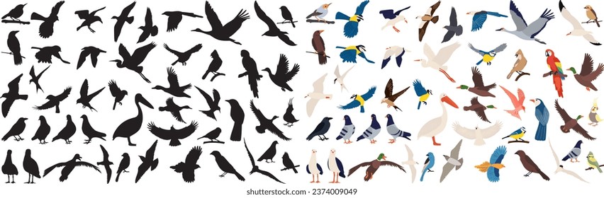 set of birds in flat style, isolated vector