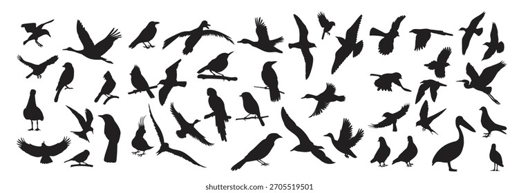 Conjunto de pájaros en estilo plano, sobre un Vector de fondo blanco