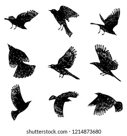 Set of birds flock. Flying crows birds. Hand drawing. Vector.