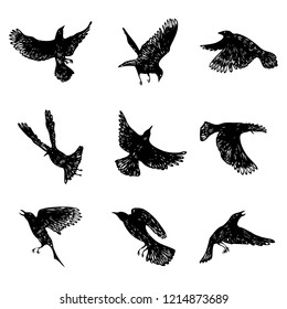 Set of birds flock. Flying crows birds. Hand drawing. Vector.