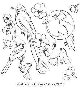Set of birds with flower on background.