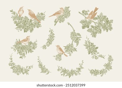 Set with birds and flowering branches. Spring compositions. Vintage. Green and gold
