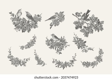 Set with birds and flowers. Blooming garden branches. Compositions with plant elements and birds. Flower garlands. Vector vintage illustration. Black and white.