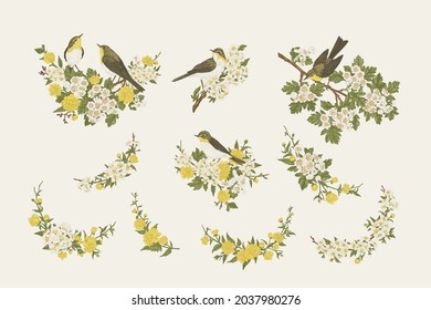 Está rodeado de pájaros y flores. Ramas de jardín florecientes. Composiciones con elementos vegetales y aves. Marismas de flores. Ilustración vectorial. Colorido.