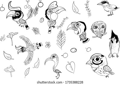 Set of birds and flowers, line drawings, ink drawing, hand drawn illustration, Vector 