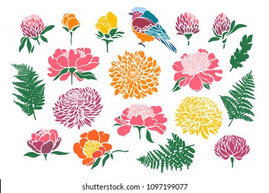 Set with birds and flowers. Peony, chrysanthemum, clover, tulip, fern. Vector illustration.