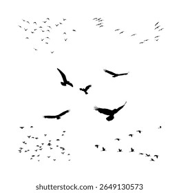 A set of birds flying in the sky isolated on white background. 