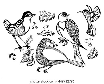Set birds. Four birds. Decorative birds. Vector illustration.
