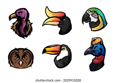 Set of birds head illustration