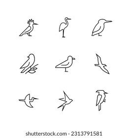 set of birds icon on white