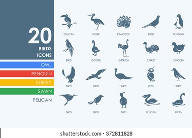 Set of birds icons
