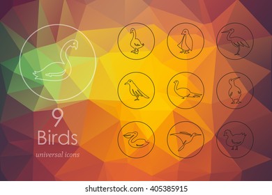 Set of birds icons