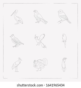 Set of birds icons line style symbols with stork, phoenix, skylark and other icons for your web mobile app logo design.