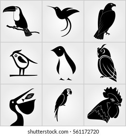 Set of Birds icons. Penguin, Bird, Pelican, Humming Bird, Owl,  Eagle, Cock, Rooster, Toucan and Parrot icons