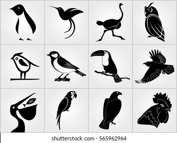 Set of Birds icons. Penguin, Bird, Pelican, Humming Bird, Owl,  Eagle, Cock, Rooster, Toucan, Ostrich, Raven, Great Tit  and Parrot icons