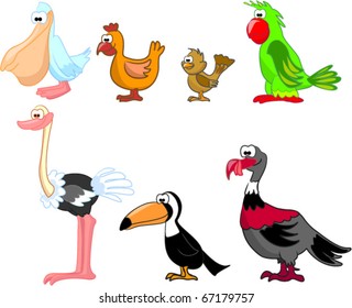 set of birds including the toucan, chicken, sparrow, pelican, parrot, ostrich, turkey