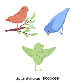 Set birds isolated on white background. Cute character in different poses and colors: on twig, peck, flying, pink, blue, green. Funny birds in doodle style vector illustration.