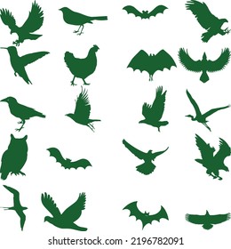 Conjunto de aves aisladas sobre fondo blanco