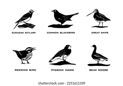 Set of birds isolated on white background. Collection of birds silhouettes on black color in minimal style. vector eps10