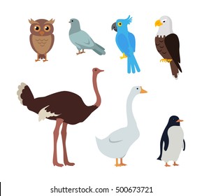 Set of birds isolated. Owl dove blue parrot eagle ostrich goose penguin. Collection of aves. Group of toothless beaked jaws birds, laying of hard-shelled eggs. Stickers for children. Vector