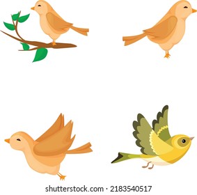set of birds isolated vector illustration